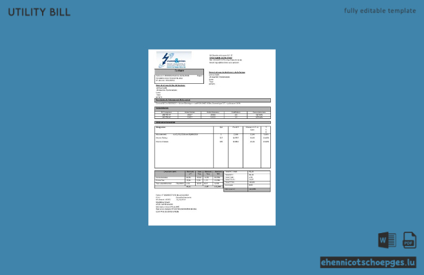 France Energies and Services Regie Municipal d'Electricité Sarre-Union Stromrechnungsbeispiel (Vorschau)